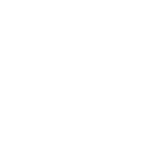 Examination Guidelines
